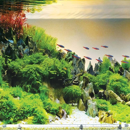 rangdong