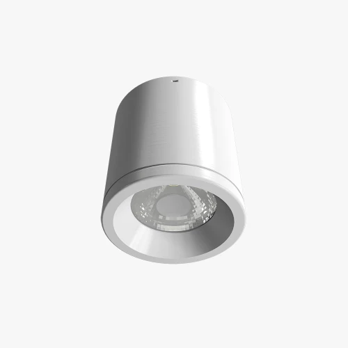 Đèn LED Downlight Nổi Trần 110/15W NT01